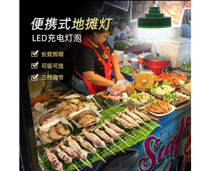 厂家直销大功率LED应急球泡灯地摊灯
