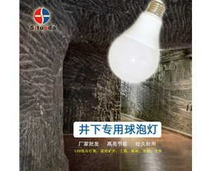 井下专用球泡灯-2