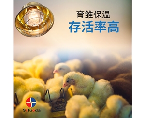 150W育雏保温灯