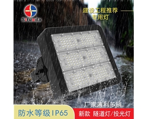 厂家直销 LED 模组隧道灯