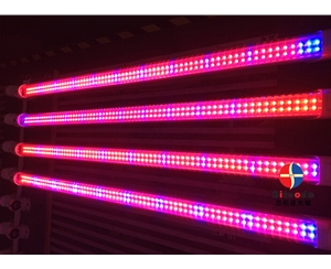 LED grow light