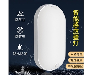 智能感应壁灯