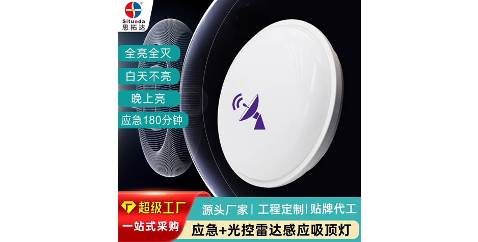 应急+光控雷达感应吸顶灯