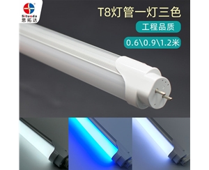 蓝+白T8双色灯管