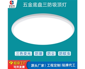 五金铁底盘三防吸顶灯