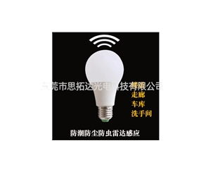 LED bulb1