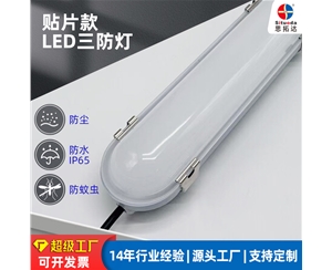 贴片款LED三防灯